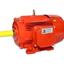 CG Power Three Phase 7.5 HP 2 Pole Foot Mounting IE2 Squirrel Cage Induction Motor, NG132S-image-41