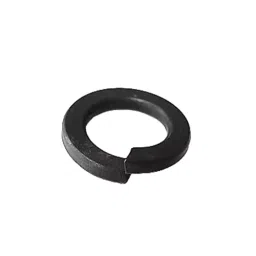 CHAMPION M22 Black Spring Washer, SWMS-22 (Pack of 50)-20