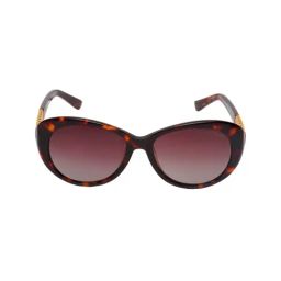 Azzaro Brown Butterfly Sunglasses for Women-29