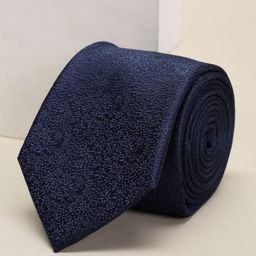 Louis Philippe Men Woven Design Fashion Ties-image-79