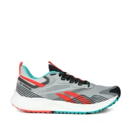 Reebok Men's Floatride Energy 4 Adventure Grey Running Shoes-image-74