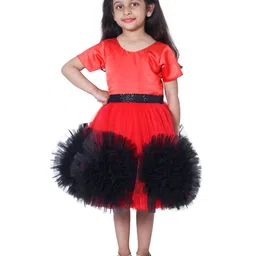 Wow Princess Net A-Line Dress-image-92