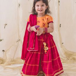 Tiber Taber Half Sleeves Floral Embroidered & Checked Lehenga Choli With Dupatta - Pink-image-58