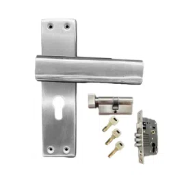 Cozi Gold 240x180x65 mm Stainless Steel and Brass Zinc Finish Mortise Door Handle 11002-CY-SS-image-84