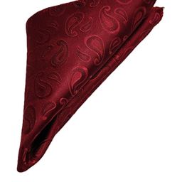 VOICI Printed Square Coat Pocket Squares-image-54