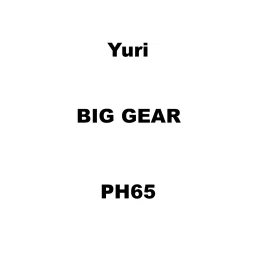 Yuri Big Gear Spare for PH65-picture-9