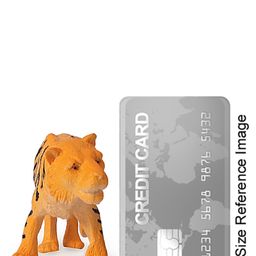 kiddybuddy KV Impex Wild Safari Animals Toy Set Of 4 Piece (Color May Vary) image 4