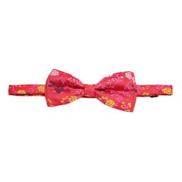 Alvaro Castagnino Pink & Multicoloured Printed Bow Tie-image-104