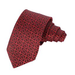 Alvaro Castagnino Men Woven Design Broad Tie-image-92