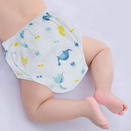 Baby Moo Dinosaur Reusable Cloth Training Diaper Panty - Multicolour-image-67