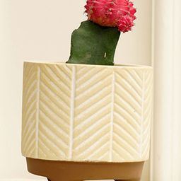 Purezento Gardenia Terracotta Planter  Model B- Cream-24