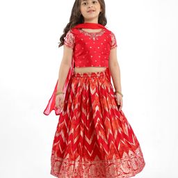 Babyhug Woven Half Sleeves Choli Lehenga Set With Foil Print & Dupatta - Red-image-67