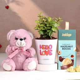 Jade Plant In Hello Love Pot Trio-image-20