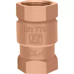 Drp 1 Inch,25 mm Bronze Vertical Check Valve-18