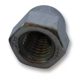 TR FASTENINGS DOME NUT, S/S, A2, M5, PK50, M5- DNA2-S50- (Pack of 50 Pcs)-image-46