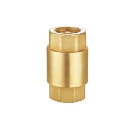 Sant 32mm Brass Universal Check Valve BUCV-picture-43