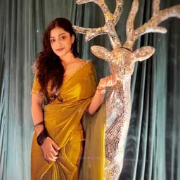 VRAGI Beads and Stones Pure Chiffon Saree-image-62