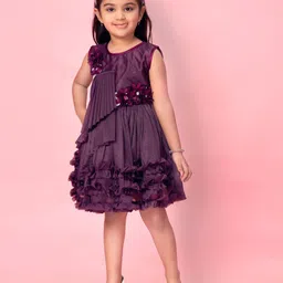 BAESD Net A-Line Dress image 4