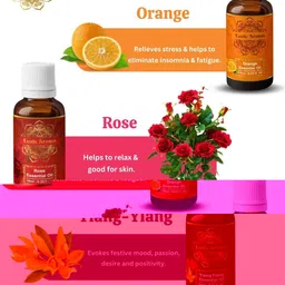 EXOTIC AROMAS 12-Pcs Essential Oils For Diffusers & Therapeutic Use - 10ml Each image 5