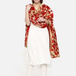 WEAVERS VILLA Red Embroidered Dupatta-picture-20