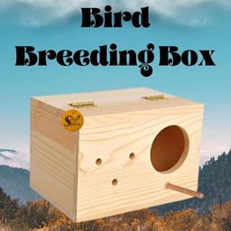 Sage Square Jumbo Size Natural Wood Mountable Nest Cum Breeding Box with Perch Attached (Design for Medium Size Birds) image 2