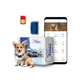 fetaca GPS Tracker for Pets Like Cats, Dogs and Other Animals with Live Location Tracking, Step Counts and Walking Route Data image 1