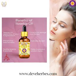 Deve Herbes Pure Rosehip Seed Oil (Rosa rubiginosa) Natural Therapeutic Grade Cold Pressed 15ml image 2