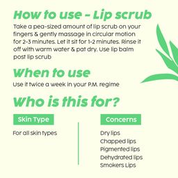 the plant fix plix PLIX - THE PLANT FIX Pomegranate Lip Care Combo, Exfoliating Scrub and Plumping Lip Mask For Dark, Dry & Chapped Lips | Cocoa Butter & Chiuri Butter, Vitamin C & E | (15 + 15) gms image 5
