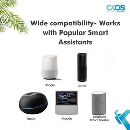 OKOS 1 Gang 16A Module WiFi Smart Light Switch Breaker Hidden DIY Module Okos Smart APP Remote Control Compatible with Alexa Echo Google Home 1 Switch Automation image 5