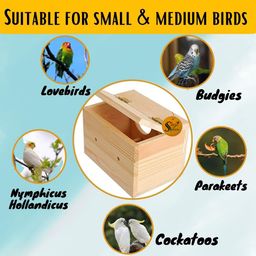 Sage Square Jumbo Size Natural Wood Mountable Nest Cum Breeding Box with Perch Attached (Design for Medium Size Birds) image 5