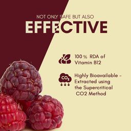 Rasayanam Plant Based Vitamin B12 Supplement For Men & Women | Organic Formulation For Vegetarians & Vegans To Support Nervous System & Brain Function - 120 Veg. Capsules image 4