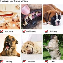 Foodie Puppies 3-in-1 Cotton Rope Chew Toy Combo for Small Dogs & Puppies | Durable, Safe Braided Rope Toys for Teething, Playing, Fetching & Training (2Knot, Carrot and Slipper) (Color May Vary) image 4