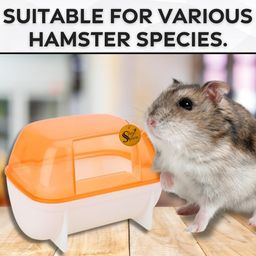 Sage Square Bath Sand Tub for Hamster, Dwarf, Gerbil, Chinchilla, Mice - Enhance Your Pet's Hygiene in Style, Provide Your Pets with a Relaxing Bathing Area. image 3