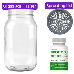Gutbasket Sprouting Jar Kit with Broccoli Seeds – 1000ml Glass Jar + 100g Seeds | High-Germination, Non-GMO | Naturally Rich in Sulforaphane | Grow Fresh Sprouts at Home in 3–5 Days image 2