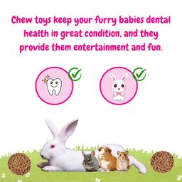 My Eden chew Toys for Rabbit pet, Set of Two Balls image 2