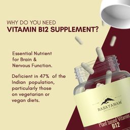 Rasayanam Plant Based Vitamin B12 Supplement For Men & Women | Organic Formulation For Vegetarians & Vegans To Support Nervous System & Brain Function - 120 Veg. Capsules image 2