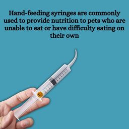 Sage Square 12 ml Hand Feeding Syringe with Curve Tip | Feeding Needle and Syringe Kit | Precise Feeding Made Simple,Curve Tip Syringe for Birds, Hamsters, Puppies, Kittens, and More image 4