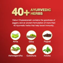 Dabur Chyawanprash Awaleha - 900g | With Goodness of Gur (Jaggery)| 3X Immunity Action | No added Sugar | Helps Improve Digestive & Respiratory Health | With Goodness of 40+ Ayurvedic Herbs image 4