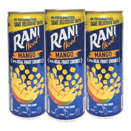 Rani Float Mango Fruit Drink with Chunks | Refreshing Fruit Drink with Mango Chunks | PACK OF 3 (240ml Each) - CAN PACKAGING image 1