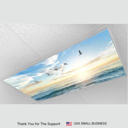 ShadeMAGIC Fluorescent Light Covers for Classroom Office - BEACH - Light Filter Pack ; Eliminate Harsh Glare That Causing Eyestrain and Head Strain. Office & Classroom Decorations. Light Diffusers (4) image 2