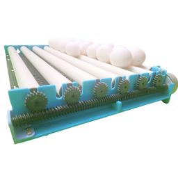 hatchpro 50 eggs incubator for egg hatching fully automatic | with one temperature controller extra | Automatic multipurpose egg turning tray and ABS Fibre Body (50 Eggs Capacity) image 2