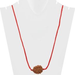 S&S 5 Mukhi Rudraksha Beads with Red thread image 2