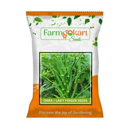 Farmgo ~ 100 Gram - OKRA (BHINDI) PLANTING SEEDS | Perfect for Home Gardening, Open Farming and Poly House Farming image 1
