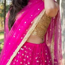 Piludi Embellished Sequinned Semi-Stitched Lehenga & Unstitched Blouse With Dupatta image 2