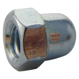 TR FASTENINGS DOME NUT, BZP, M5, PK100, M5- DNST-Z100- (Pack of 100 Pcs)-image-41