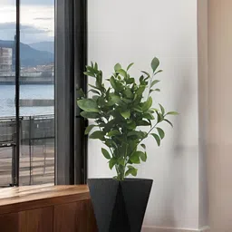 Go Hooked Black & Green Diamond-Shaped Durable Planter-84