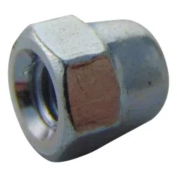 TR FASTENINGS DOME NUT, BZP, M3, PK100, M3- DNST-Z100- (Pack of 100 Pcs)-image-42