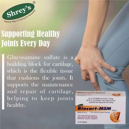 shrey's Biocart-MSM Glucosamine, MSM, Quercetin & Rutin - 60 Tablets (for Optimal Joint-Cartilage Support & Pain Relief) image 5