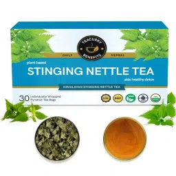 TEACURRY Stinging Nettle Tea Helps with Kidney Detox and Blood Sugar (1 Month Pack ,30 Tea Bag)-image-95