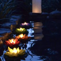 generic GHAR SHRINGAAR Lotus Flower Floating Diya Set with Water Sensor (Set of 6) | Multicolour | Artificial but Natural Looking Flower with led Light, Best for Diwali Purpose, Decorations image 3